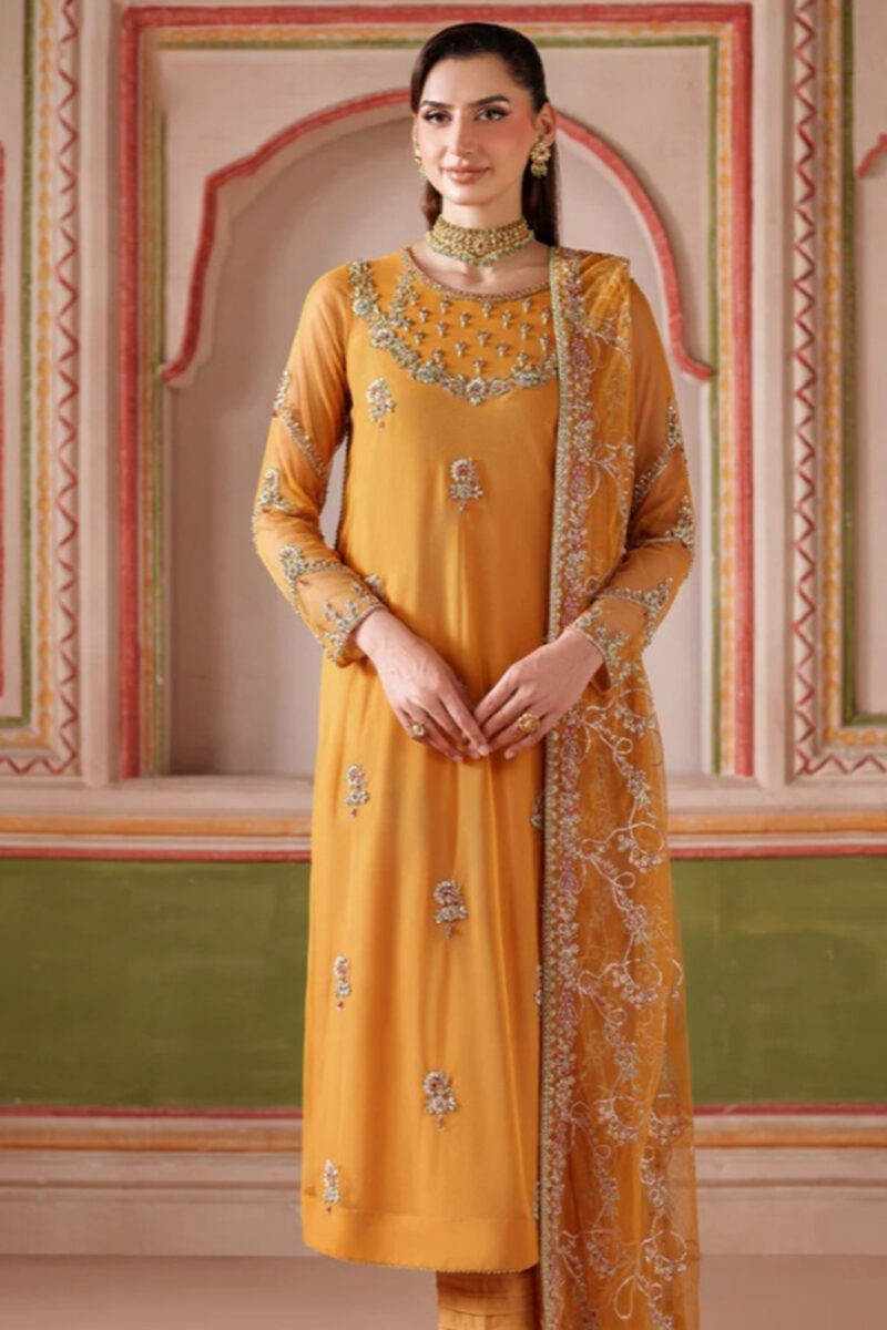 ZARIF Formal Collection ZF01